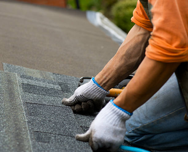 Gutter Installation and Roofing in Le Mars, IA