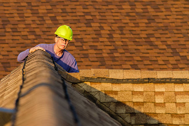 Best Roofing Contractor Near Me  in Le Mars, IA