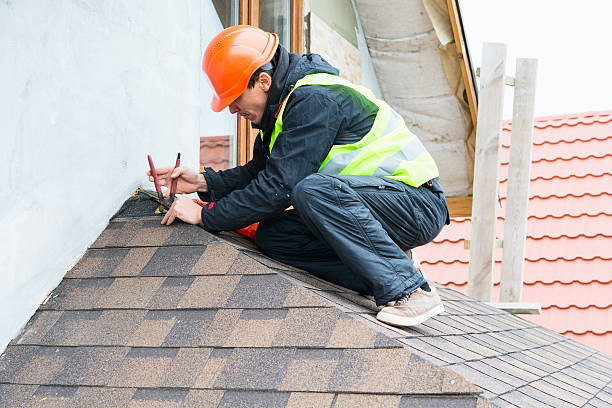 Best Storm Damage Roof Repair  in Le Mars, IA